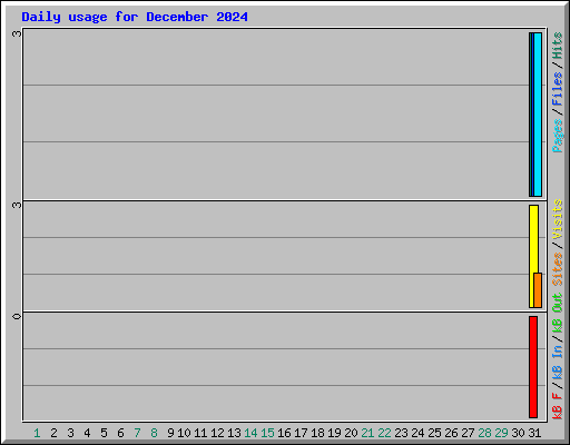 Daily usage for December 2024