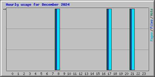 Hourly usage for December 2024