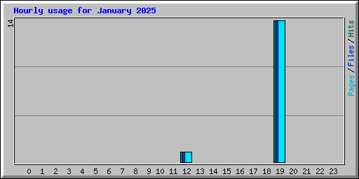 Hourly usage for January 2025