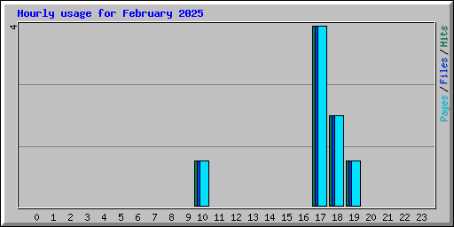 Hourly usage for February 2025